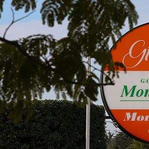 Mondo Verde. Ecco il mio garden d&rsquo;attrazione