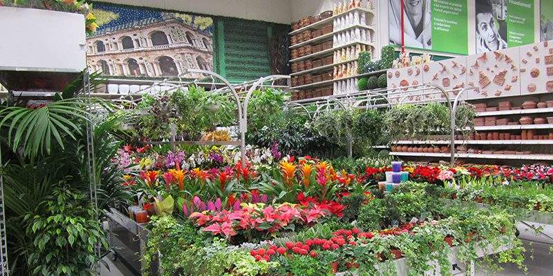 Osservatorio Casa, gli italiani e giardino ( ma anche balconi e terrazzi)
