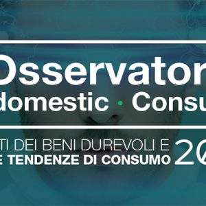 Osservatorio Findomestic 2018,  il bricolage cresce