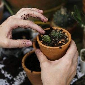 Nell&rsquo;e-commerce il &ldquo;garden&rdquo; funziona