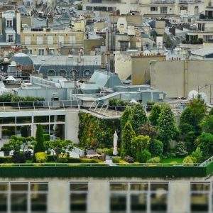 Il Bonus verde rischia di sparire? Preoccupazione tra gli operatori