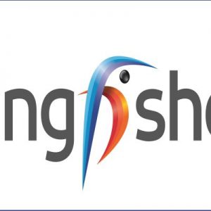 Kingfisher, 1&deg; semestre negativo ma positivo