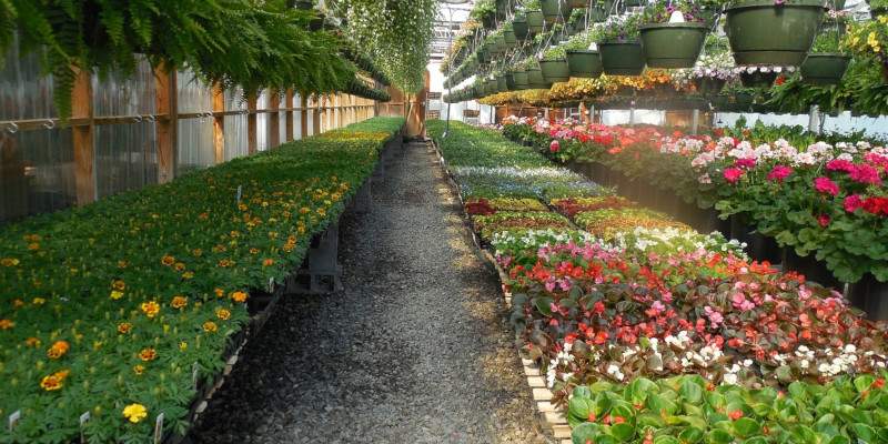 Florovivaisti e Garden Center lombardi. Pubblicata la Legge