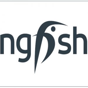 Kingfisher, la nuova vita (pi&ugrave; autonoma) delle insegne