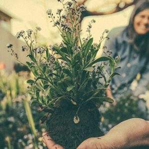 Osservatorio Nomisma: cresce la passione per il verde in Italia