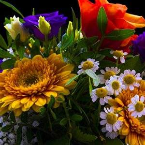 Fiori italiani, costi di produzione alle stelle