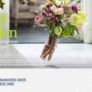 &ldquo;Keep on Shining&rdquo;, la campagna UE a favore di fiori e piante