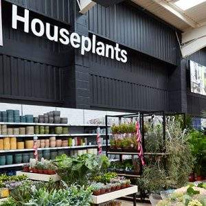Il rinnovamento di Homebase