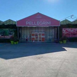 Pellegrini Garden: &ldquo;L&rsquo;impegno nel gestire l&rsquo;aumento dei prezzi&rdquo;
