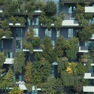 Garden mania: il valore di uno spazio &ldquo;verde&rdquo;