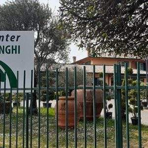 Garden Center Ardenghi: &ldquo;meglio l&rsquo;approccio diretto con il cliente&rdquo;