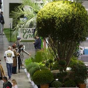 Le novit&agrave; 2023 di Myplant & Garden