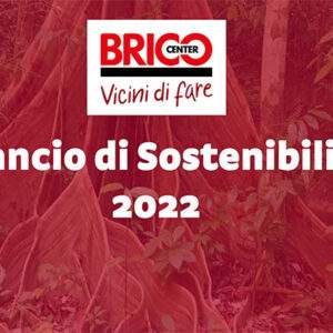 Bricocenter e il primo Bilancio di Sostenibilità