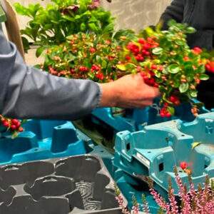 Euro Plant Tray for reusing plant trays