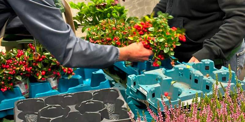 Euro Plant Tray for reusing plant trays