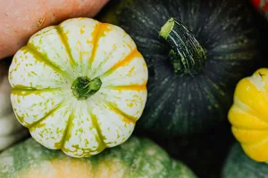 Lavori di novembre in giardino e nell’orto: come prepararsi all’inverno